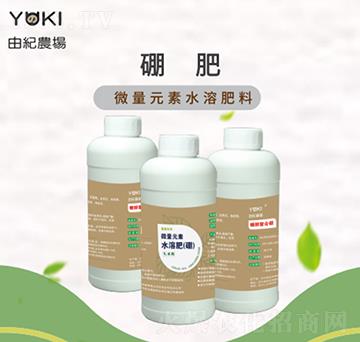 ���-�ɼo����