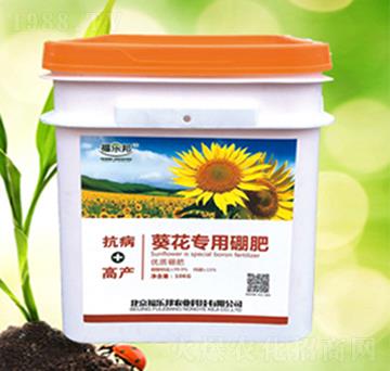 ������(zhu��n)�����-����(l��)��