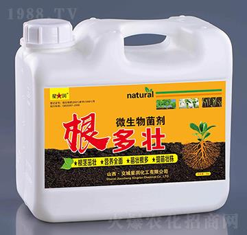 ΢�������-������-�ǝ�����