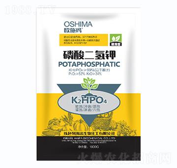 �������⛣��S��-һ������(l��i)