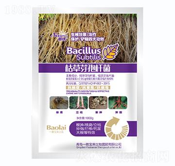 1000g�ݲ�ѿ�ߗU��-�ǃ�(y��u)-һ������(l��i)