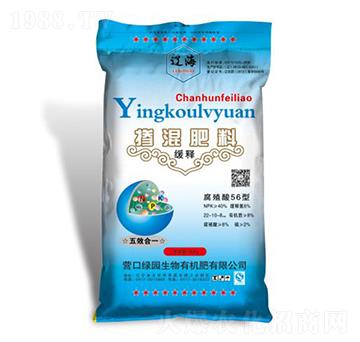 ��ጓ����-�G�@����