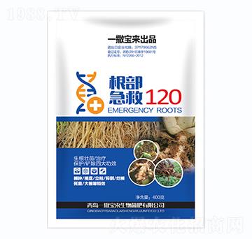 ��������120-һ������(l��i)