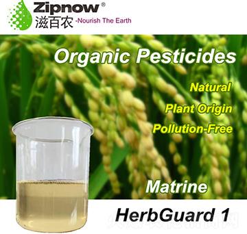 ˎ�����l(w��i)��-�̰��r(n��ng)