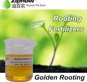 �S������-������-�̰��r(n��ng)