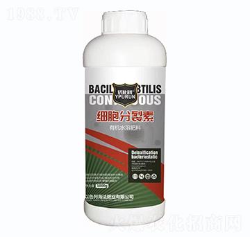 ��(x��)��������-һ������(l��i)