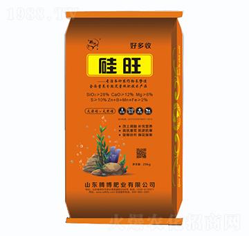 ����-�v���ʘI(y��)