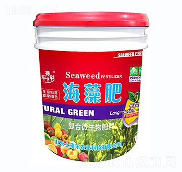 ��(f��)��΢���ﺣ���-�v���ʘI(y��)