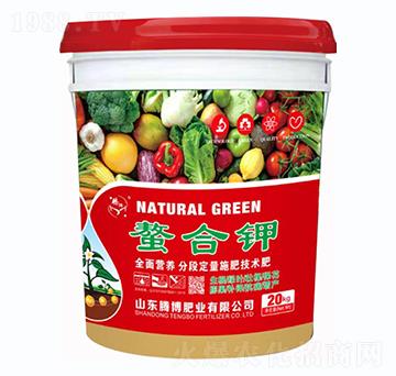 �����-�v���ʘI(y��)