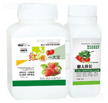 �tùһ��+������L-������