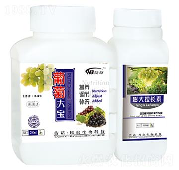 ���Ѵ�-������