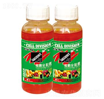 ��(x��)��������-������