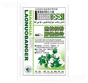 ��֦�ڷ����ұ��-������