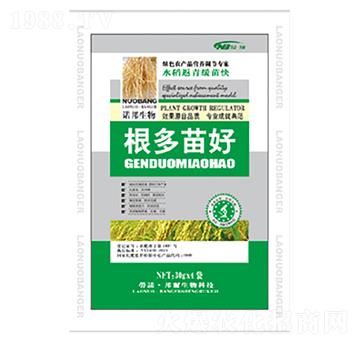 �������-������