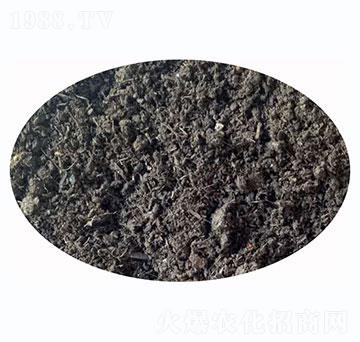 �l(f��)�ͼ���S-����r(n��ng)�I(y��)