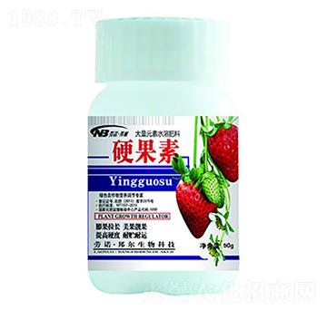 50gӲ����-������