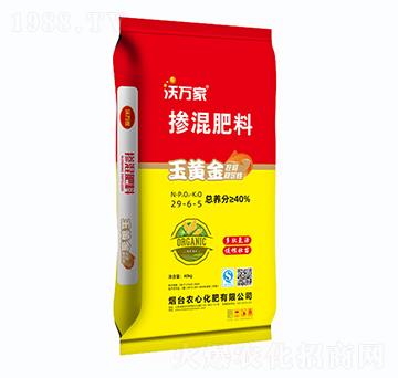 �������29-6-5-���f(w��n)��-�r(n��ng)�Ļ���