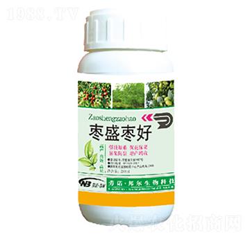 ��ʢ����-������