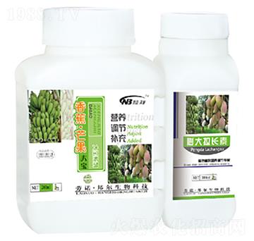 �㽶��â����+������L��-������