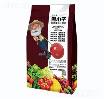 ��С�ӡ��߾��������w��-�~���r-�Έ�����