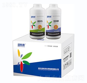 �~���r�����w��-�Έ�����