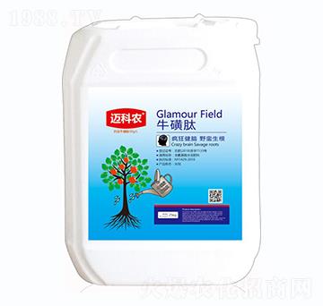 ������-�~���r-�Έ�����