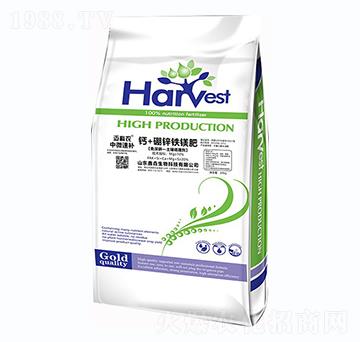 �}+���\�F�V��-�~���r��20kg��-�Έ�����