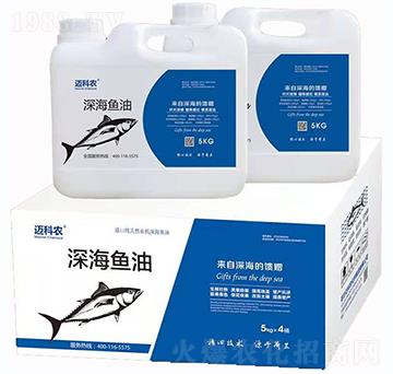 5kg��~��-�~���r-�Έ�����