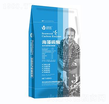 ����̼ø�w����-�~���r-�Έ�����