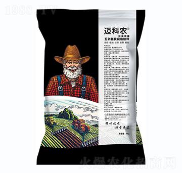 �������S�����-�~���r-�Έ�����