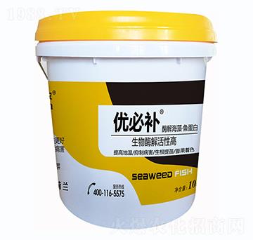 ø�⺣���~����-��(y��u)���a-�Έ�����