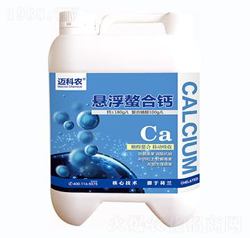 �Ҹ������}-�~���r-�Έ�����