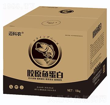 �zԭ�~����-�~���r-�Έ�����