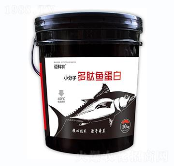 С���Ӷ����~����-�~���r-�Έ�����