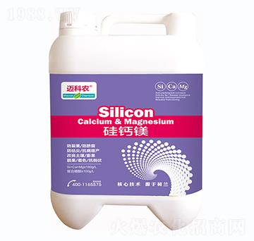 ���}�V-�~���r-�Έ�����