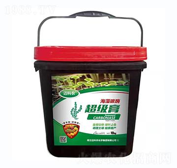 ����̼ø������-�~���r-�Έ�����