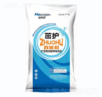 �ѡ��VԴ�S����⛺����-�~���r-�Έ�����