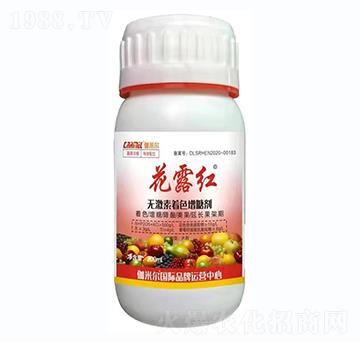 ��¶�t�o�����Dɫ���Ǆ�-٤�נ�-�_˼ķ