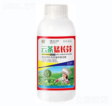 �Ʋ����L(zh��ng)ѿƿ-�����S