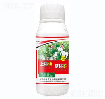 ���ҿ�Y(ji��)�Ҷ�-�����S