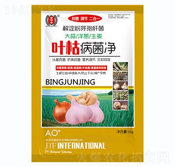 ���������[������-�~�ݲ�����-�����S