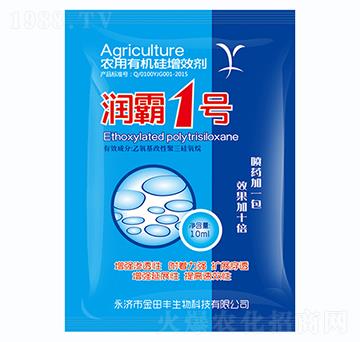 ��(r��n)��1̖(h��o)-�����S