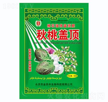 �����w�-�����S