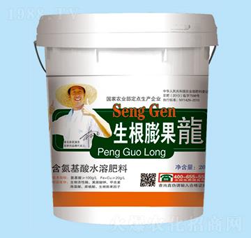 含氨基酸水溶肥-生根膨果龍-喜耕田