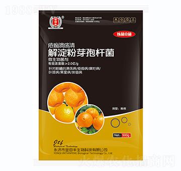 �����ѿ�ߗU��-���蝢����-�����S