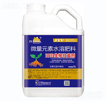 ����������焩-�����S