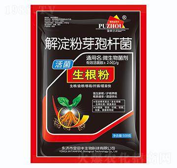 �����ѿ�ߗU��-���������-�����S