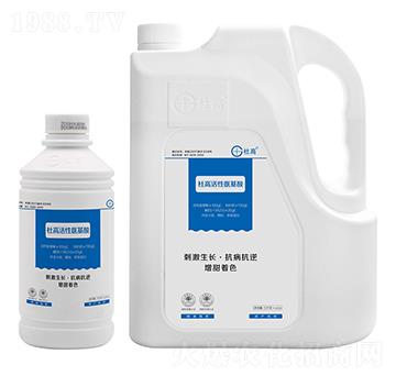 ���԰�����-�Ÿ�