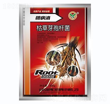 �ݲ�ѿ�ߗU��-������-��(zh��n)܇