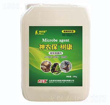 �������z�������Ƅ�-���r�����俵-��(zh��n)܇